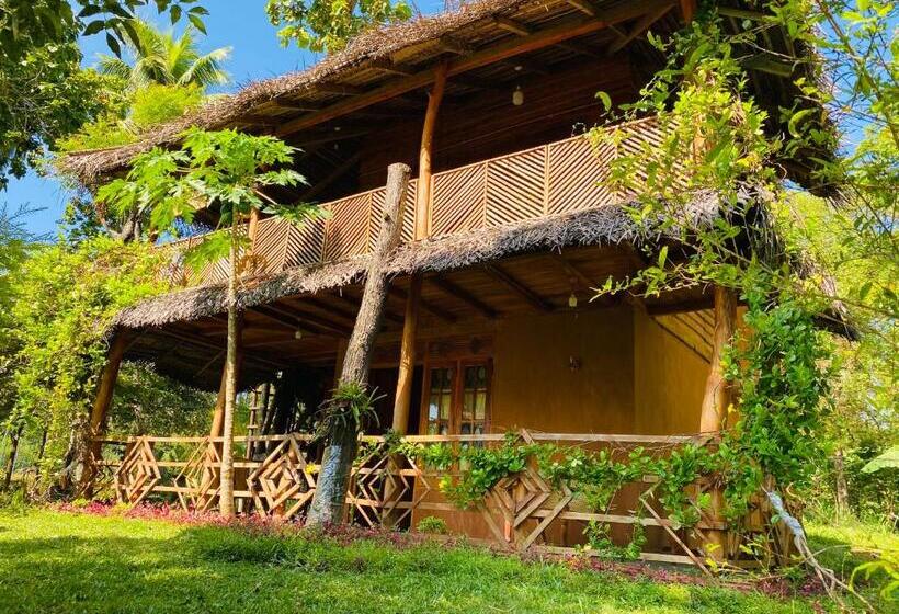 חדר סטנדרט עם טרסה, Sigiri Lion Eco Palace