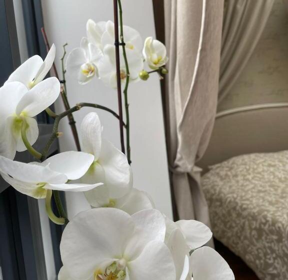 Четырехместный Номер Deluxe, Maison D Hôtes L Atelier Du Charmois