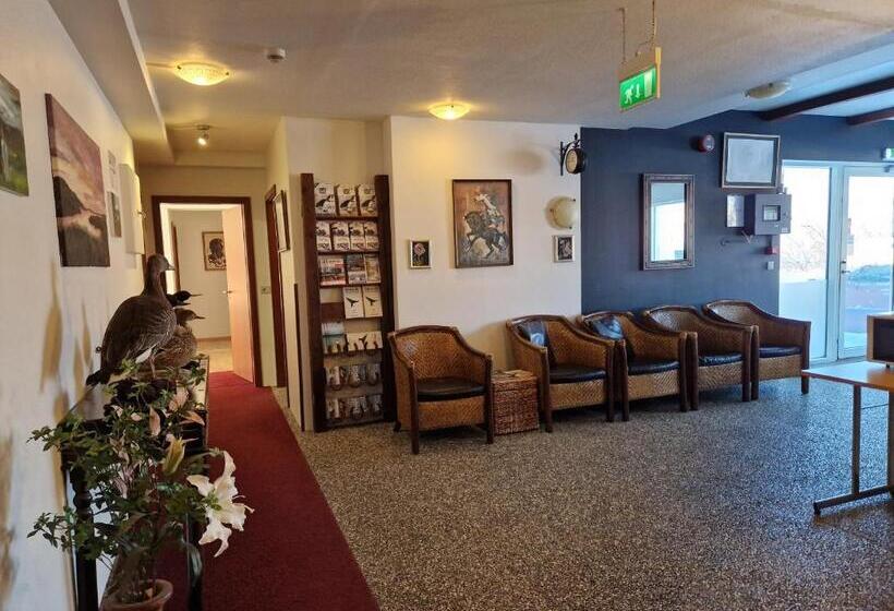 اتاق استاندارد یک نفره, Gauksmýri Guesthouse Lodge