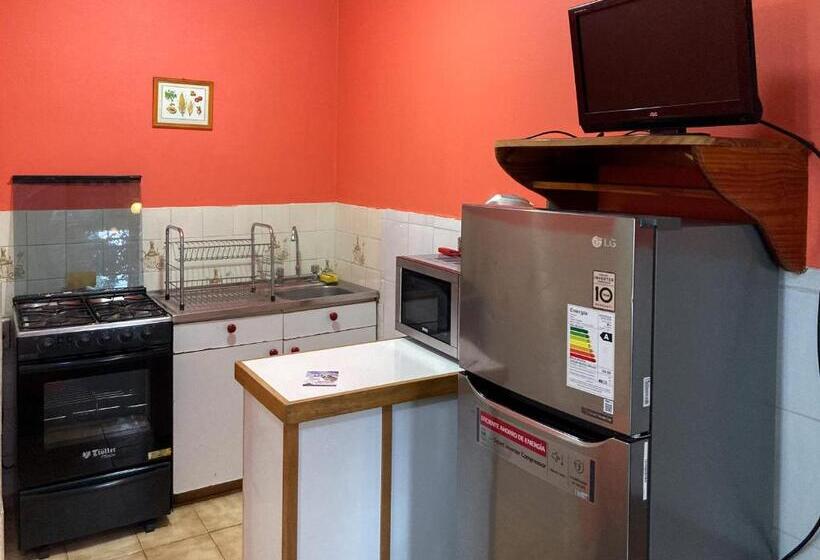 Apartamento 2 Dormitórios, Los Maitenes