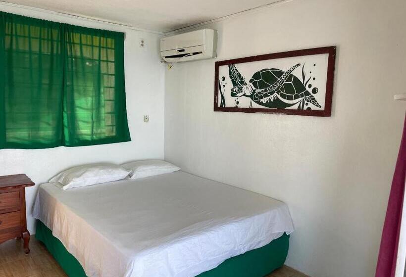 اتاق لوکس, The Wave Hostel Corn Island
