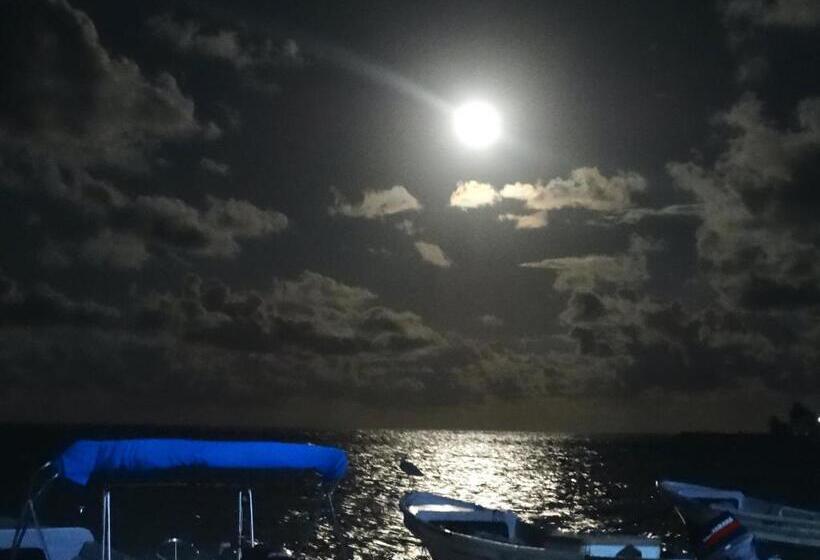 اتاق استاندارد چهار تخته با چشم‌انداز دریا, The Wave Hostel Corn Island