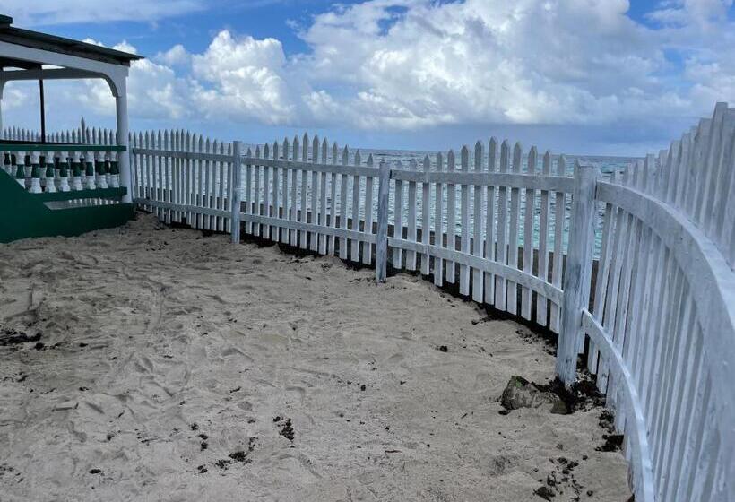 اتاق استاندارد چهار تخته با چشم‌انداز دریا, The Wave Hostel Corn Island