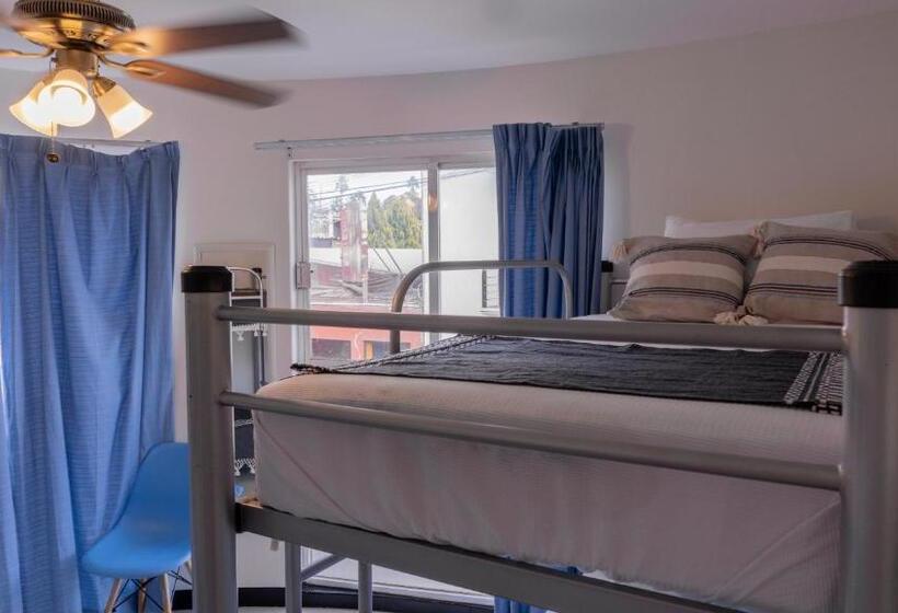 تختخواب در اتاق مشترک, Esencia Hostel Terminal Oaxaca
