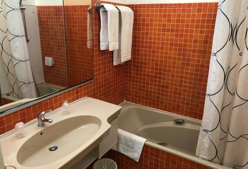 اتاق استاندارد یک نفره, Adonis Lyon Est Hôtel Artys