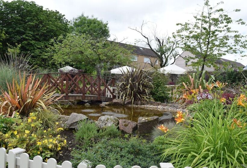 Номер Стандарт, Lynnhurst