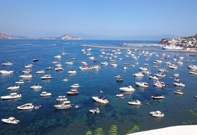 Номер Стандарт Вид на Море, Summer Paradise