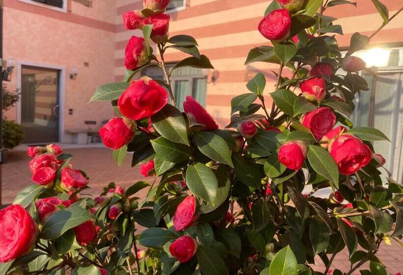 آپارتمان 2 خوابه, Casa San Marco