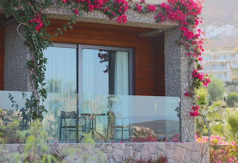 اتاق لوکس, Costa Farilya Special Class Hotel Bodrum