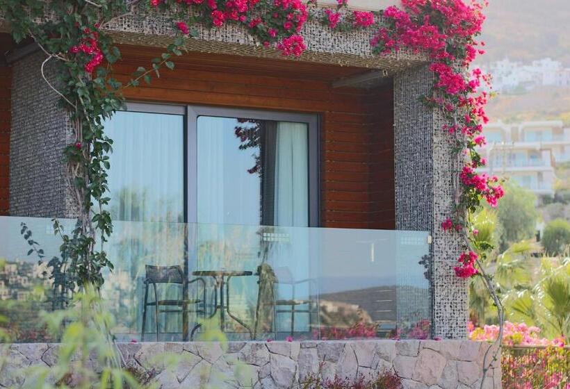 اتاق لوکس, Costa Farilya Special Class Hotel Bodrum
