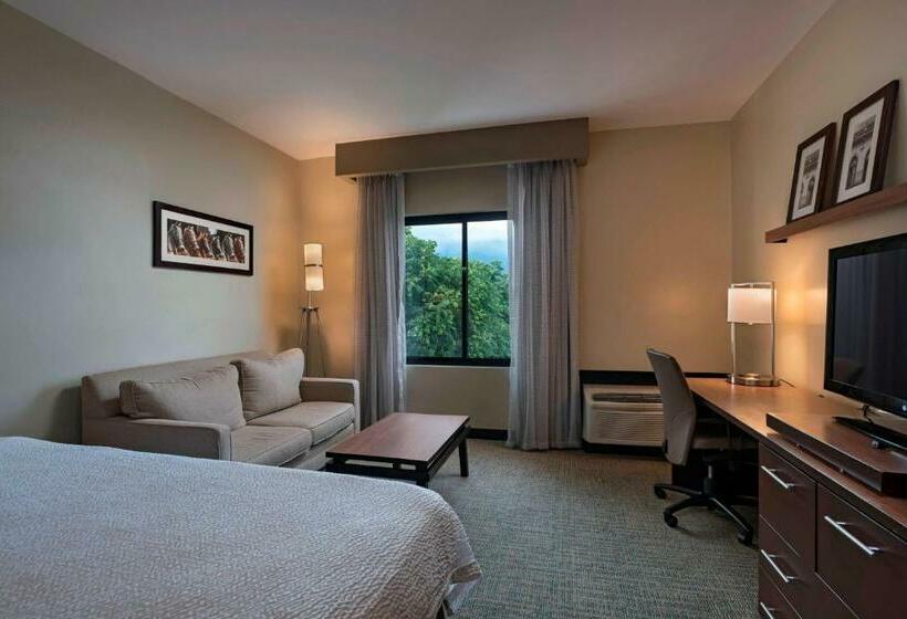 اتاق استاندارد با تخت بزرگ, Courtyard By Marriott San Salvador