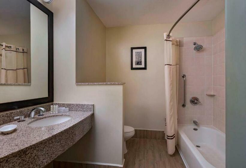 اتاق استاندارد, Courtyard By Marriott San Salvador