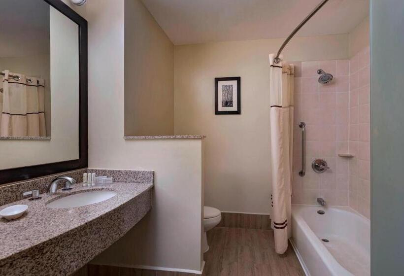 اتاق سوپریور با تخت بزرگ, Courtyard By Marriott San Salvador