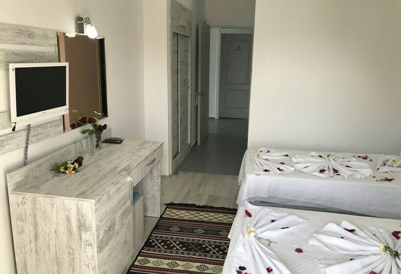 Номер Стандарт, Aymes