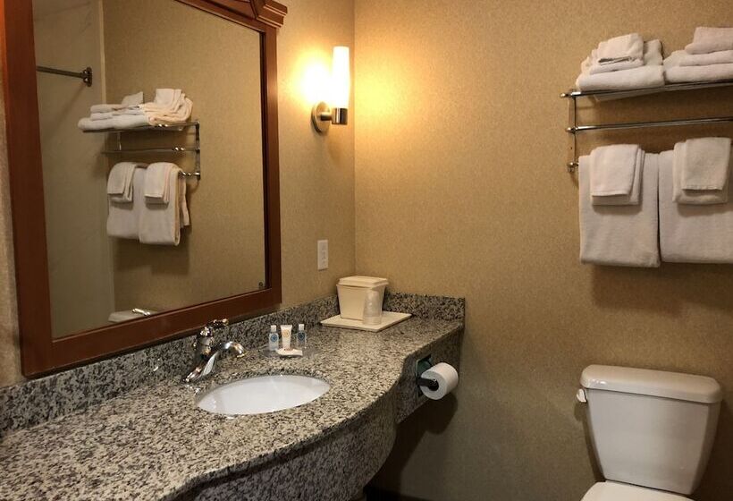 Люкс, Comfort Inn Ogden Near Event Center