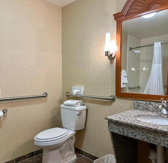 Люкс Адаптированный для Инвалидов, Comfort Inn Ogden Near Event Center