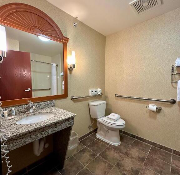 Номер Стандарт Кровать Кинг Адаптированный для Инвалидов, Comfort Inn Ogden Near Event Center