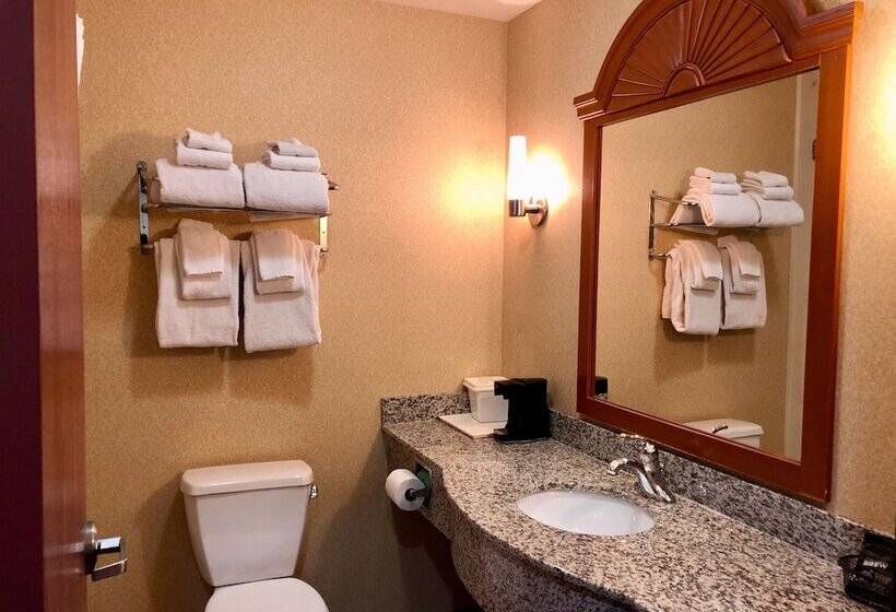 Люкс, Comfort Inn Ogden Near Event Center