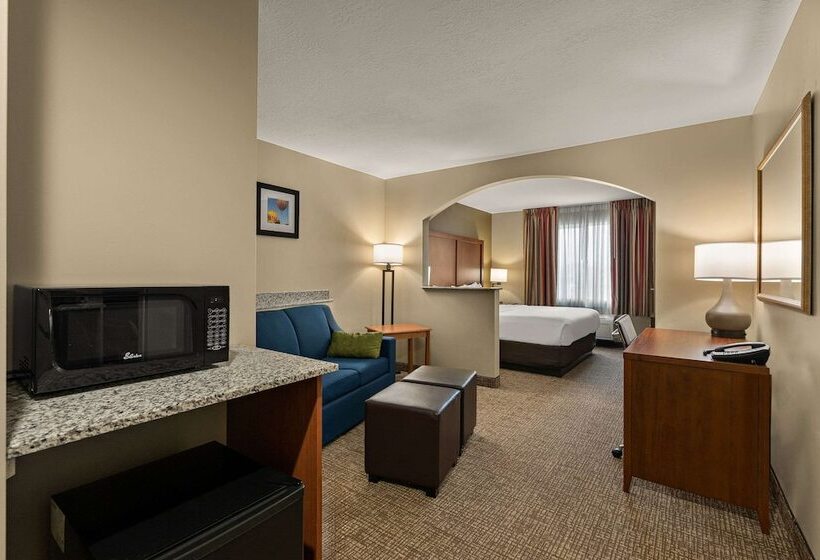 Люкс Адаптированный для Инвалидов, Comfort Inn Ogden Near Event Center