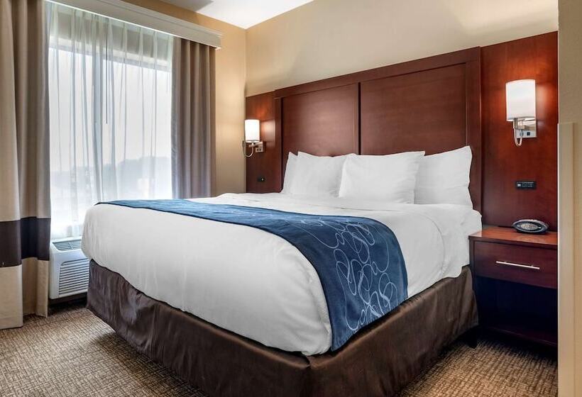 스위트, Comfort Suites Pell City I 20 Exit 158