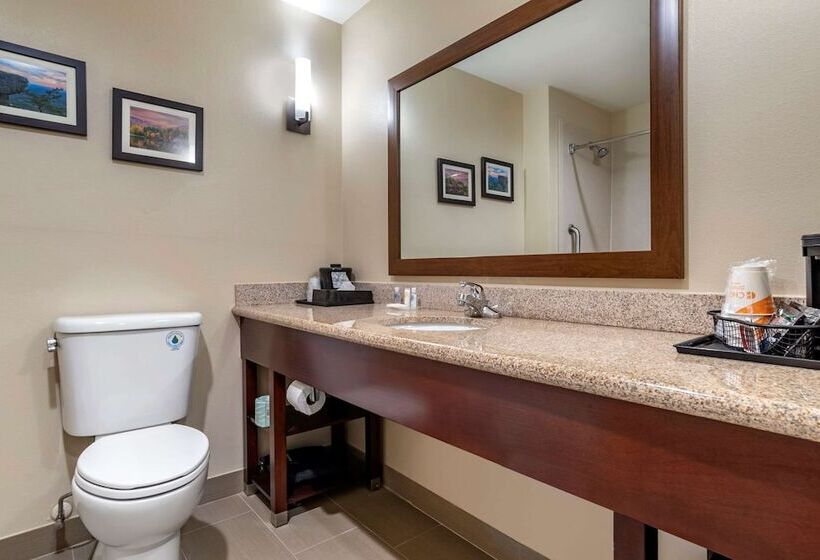 스위트, Comfort Suites Pell City I 20 Exit 158