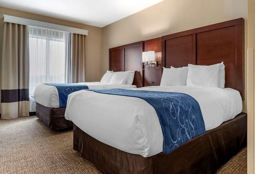 스위트, Comfort Suites Pell City I 20 Exit 158