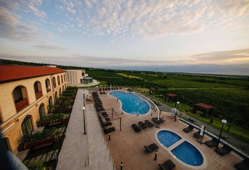 اتاق استاندارد با چشم‌انداز استخر, Panorama Kakheti Resort By Cosmos Hotels