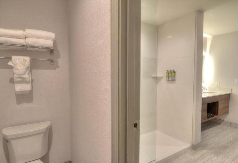 可观景的套房, Holiday Inn & Suites Pigeon Forge Convention Center, An Ihg