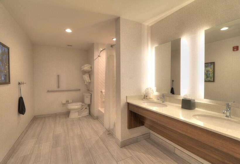 标准间, Holiday Inn & Suites Pigeon Forge Convention Center, An Ihg
