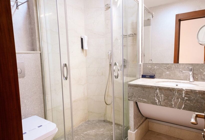 اتاق استاندارد, Armi̇s