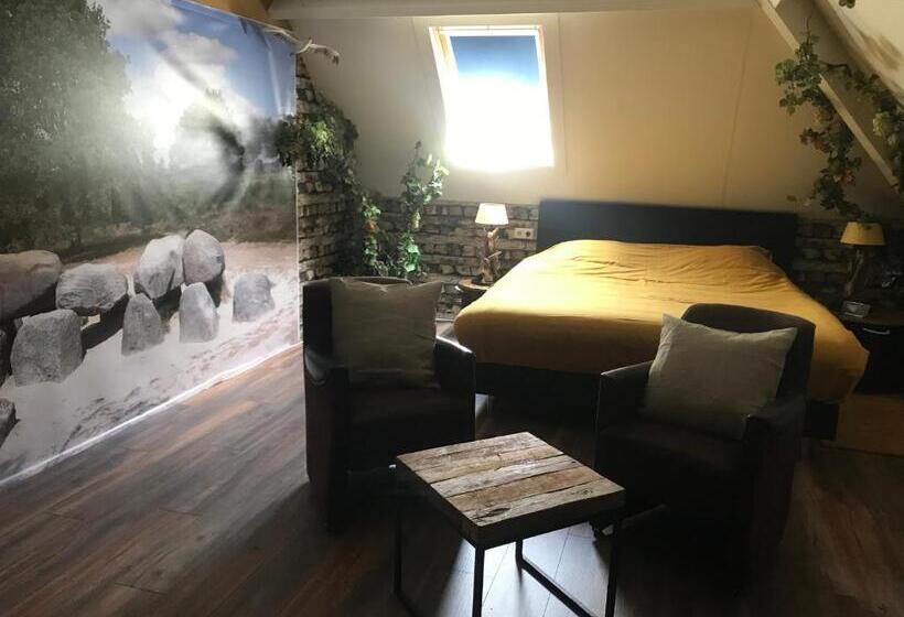 اتاق استاندارد, B&b. Het Hunebed Rolde