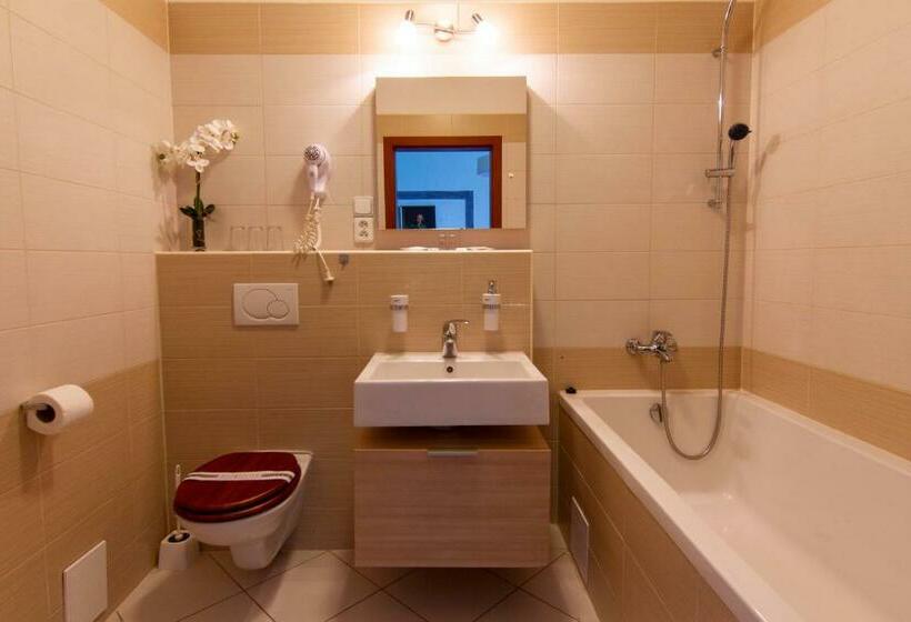 Номер Deluxe, Wellness Hotel Rezidence