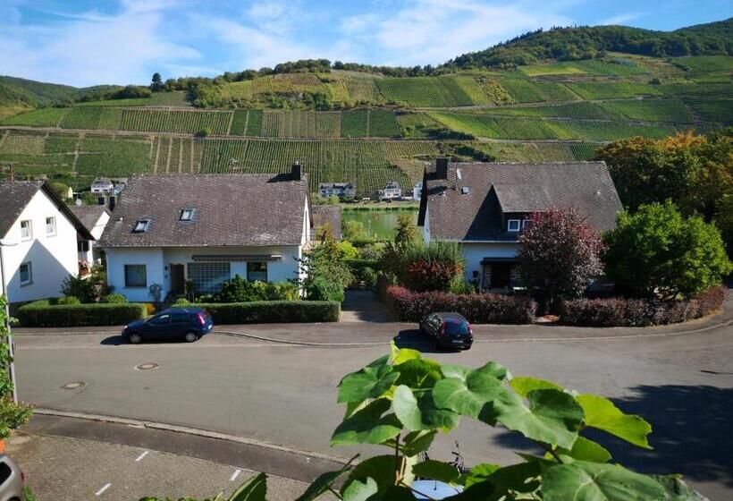 شقة غرفة نوم واحدة مزودة بشُرفة, Appart Pension Schier