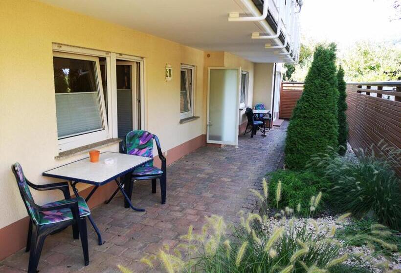 Апартаменты 1 Спальня с Террасой, Appart Pension Schier