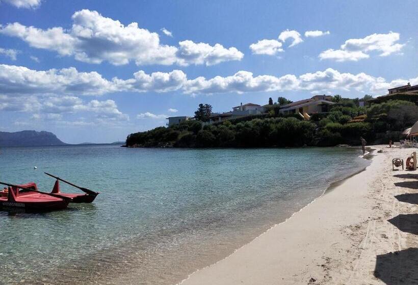 Студия Стандарт, Le Stanze Del Mare