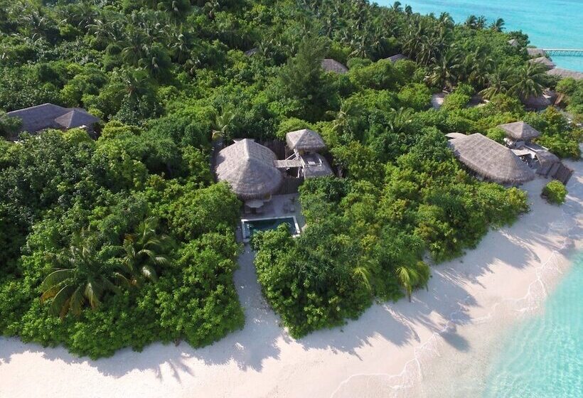 ویلای یک اتاق خوابه با استخر شنا, Six Senses Laamu