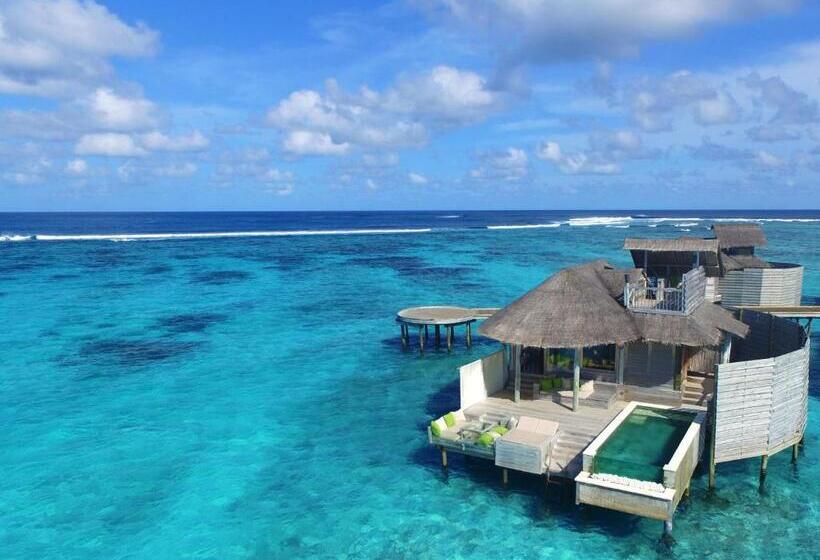 ویلای یک اتاق خوابه با استخر شنا, Six Senses Laamu