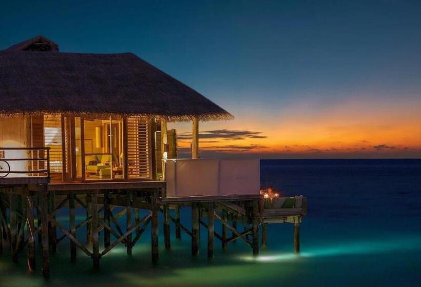 ویلای 1 خوابه با چشم‌انداز دریا, Six Senses Laamu