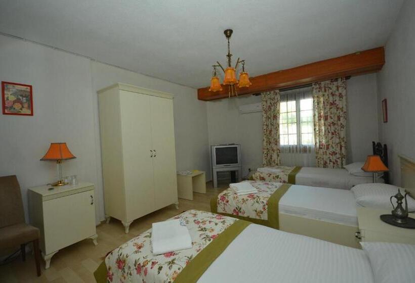 Quarto Triplo Economy, Casa Villa