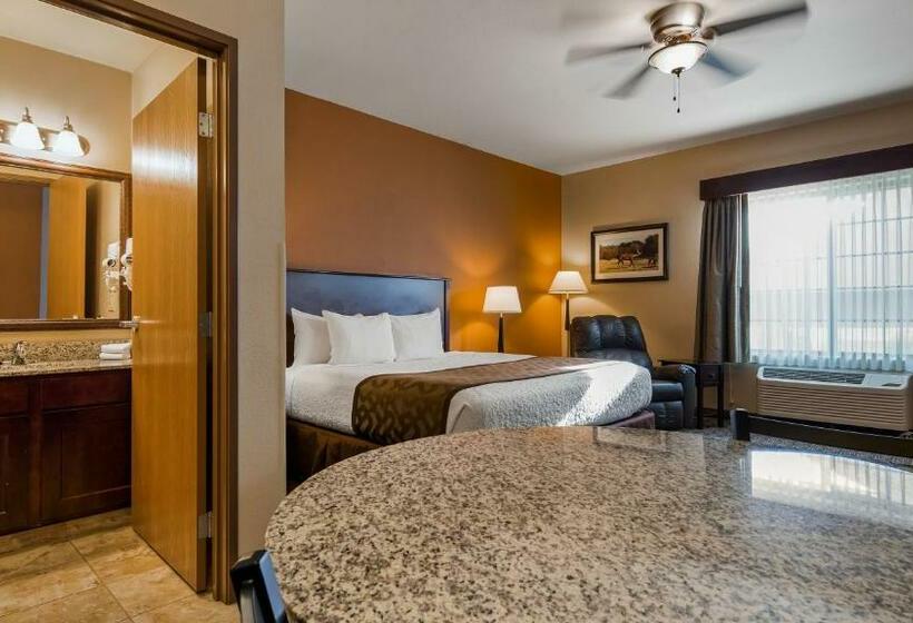 キングサイズベッドのスタンダードルーム, Best Western North Edge Inn