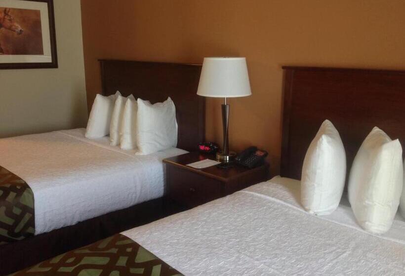 身障者適用スタンダードルーム, Best Western North Edge Inn