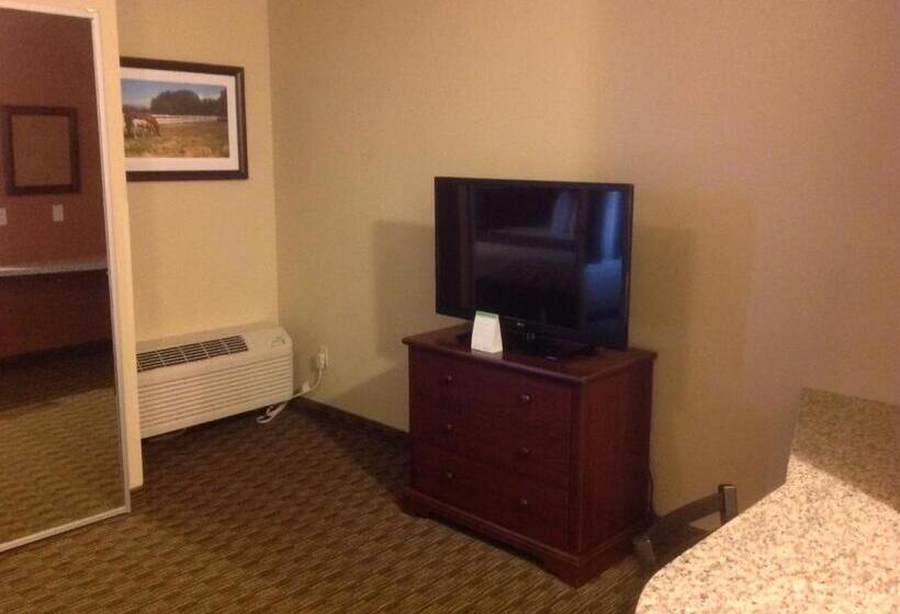 身障者適用スタンダードルーム, Best Western North Edge Inn