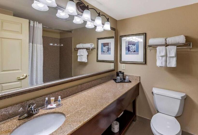 带大床的标准间, Comfort Inn & Suites Virginia Beach   Norfolk Airport