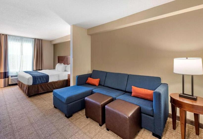 带大床的套房, Comfort Inn & Suites Virginia Beach   Norfolk Airport