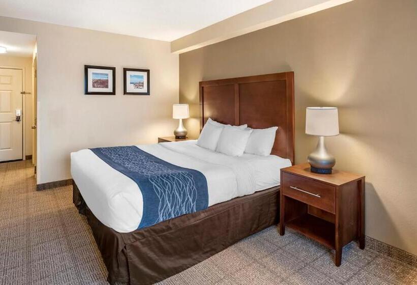 适合残疾人士使用的带超级大床的标准间, Comfort Inn & Suites Virginia Beach   Norfolk Airport