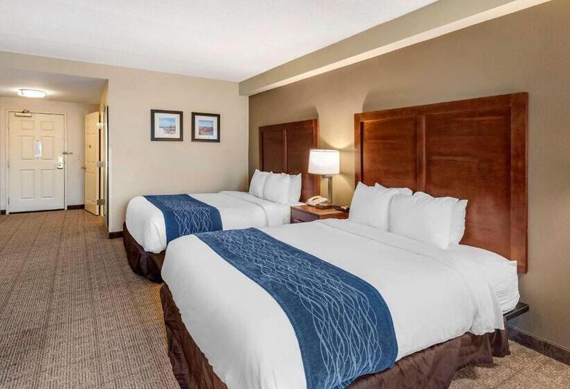 适合残疾人使用的标准间, Comfort Inn & Suites Virginia Beach   Norfolk Airport