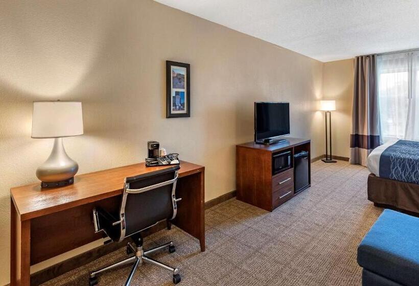 适合残疾人士使用的套间, Comfort Inn & Suites Virginia Beach   Norfolk Airport