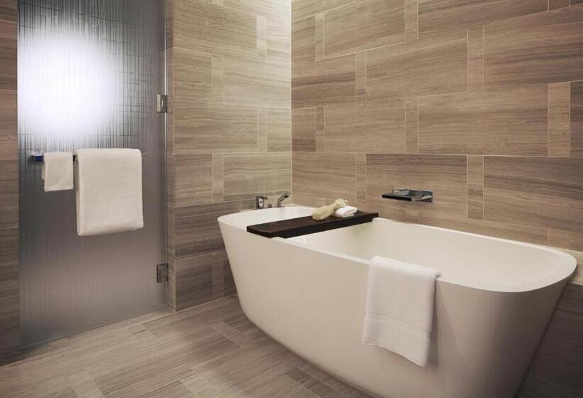 اتاق استاندارد با تخت بزرگ برای معلولان, Park Hyatt New York