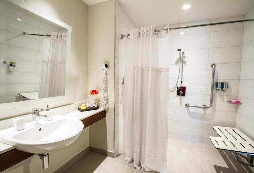스탠다드 룸 킹사이즈 침대, Park Inn San Jose By Radisson
