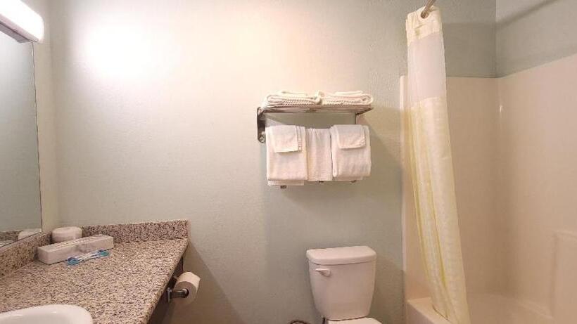 스탠다드 룸 킹사이즈 침대, Rodeway Inn Chico University Area